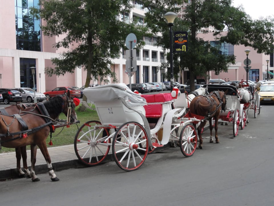 Sonnenstrand DAS Club Hotel Sunny Beach