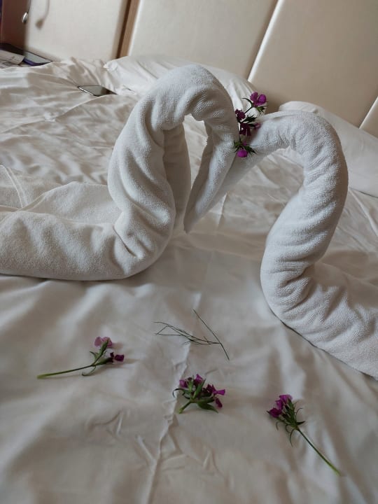 Zimmer Hotel Botanik Platinum