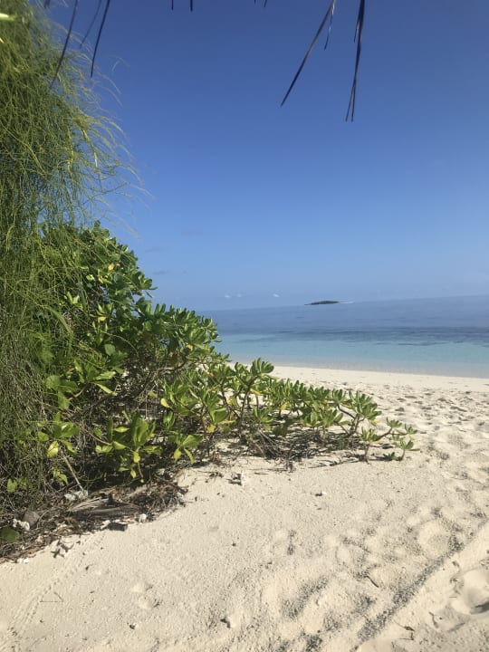 Strand ROBINSON MALDIVES