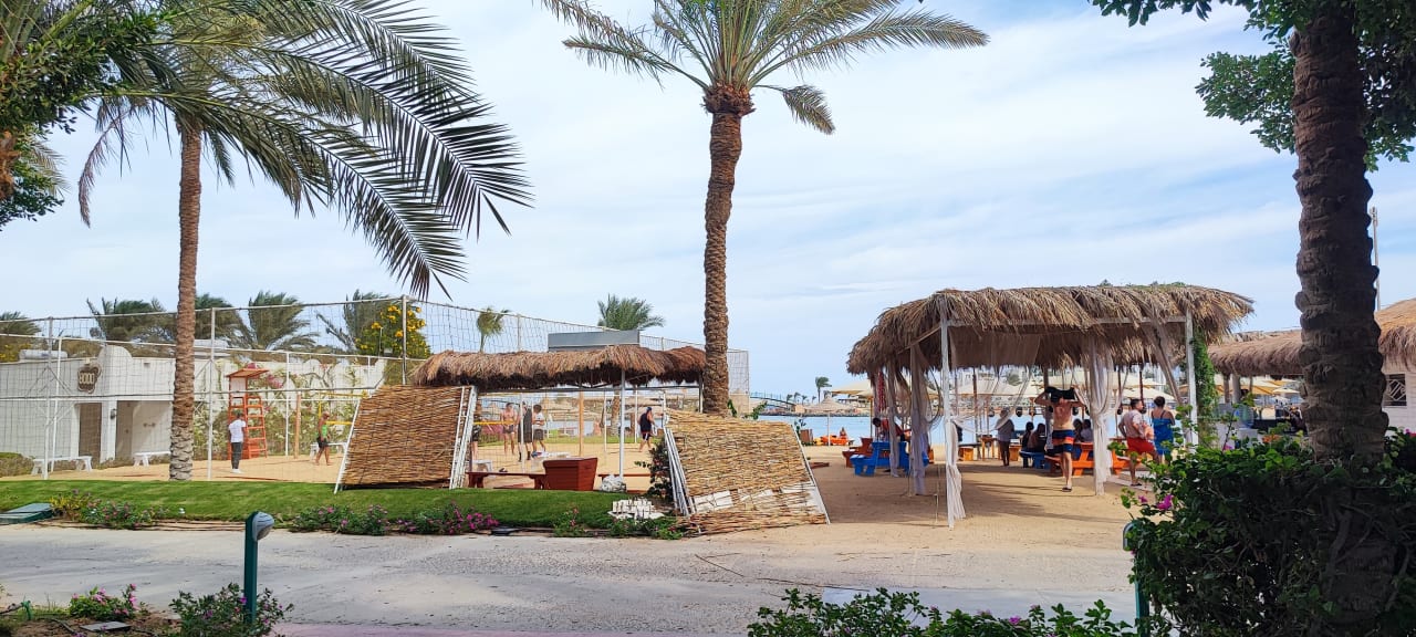 Sport & Freizeit Desert Rose