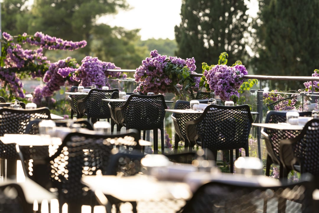 Gastro Aminess Vival Casa Velaris