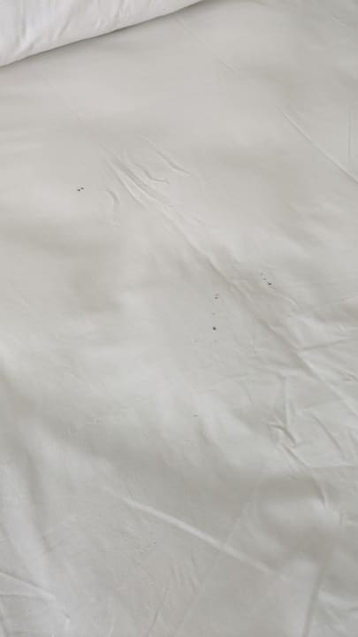 Zimmer Blau varadero - Adults only