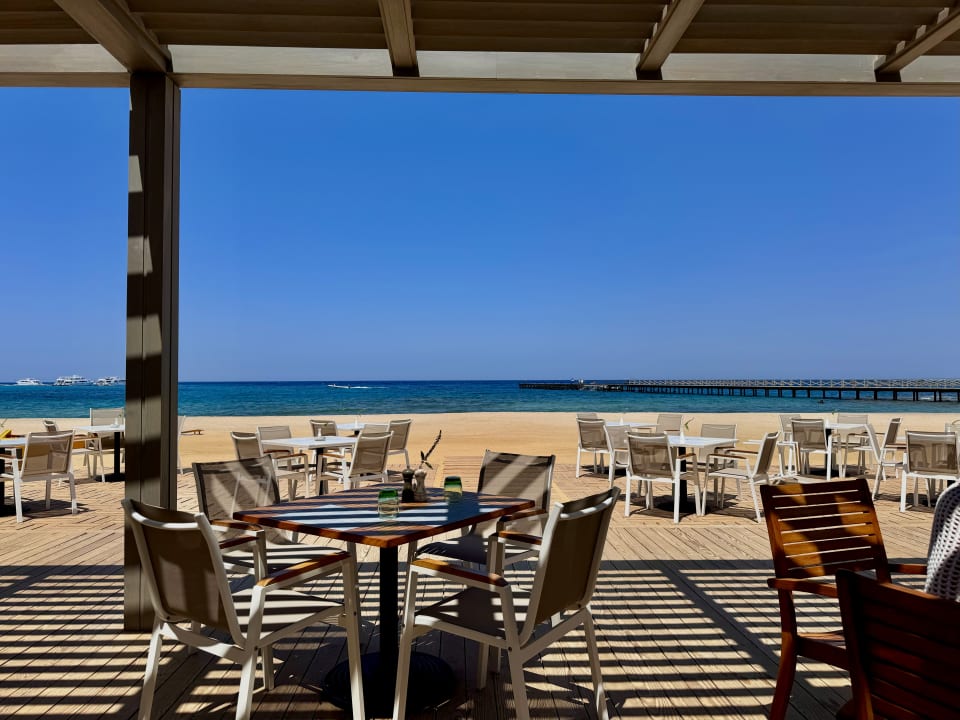 Gastro JAZ Elite Amara