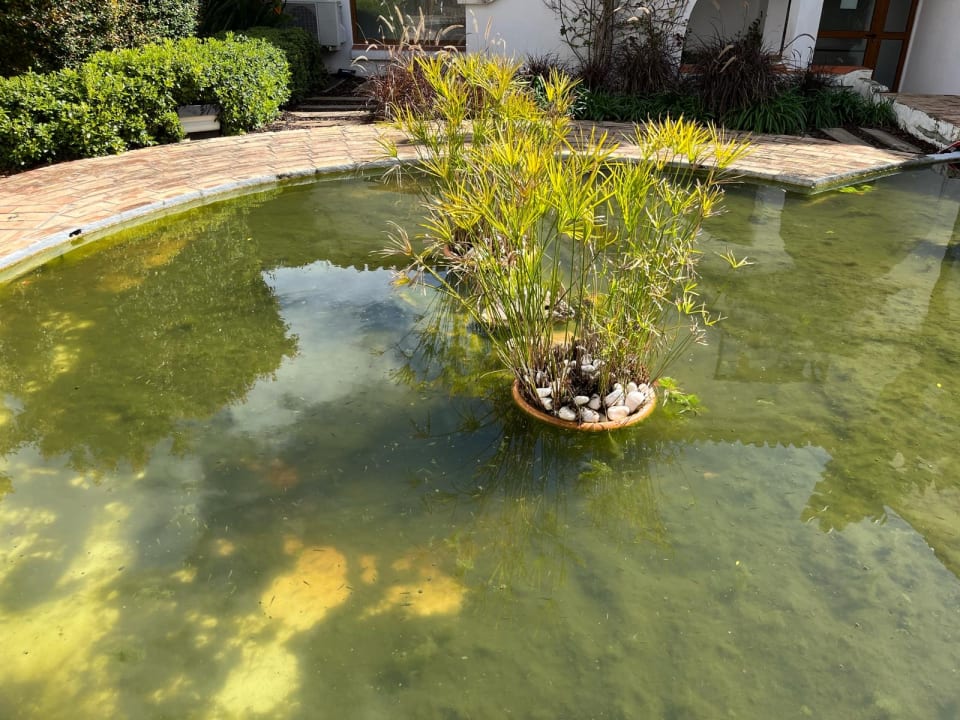 Gartenanlage Tivoli Lagos Algarve Resort
