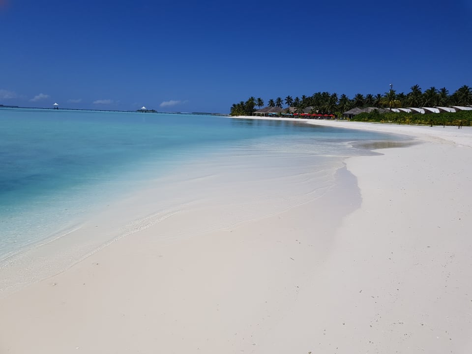 Strand Cinnamon Hakuraa Huraa Maldives