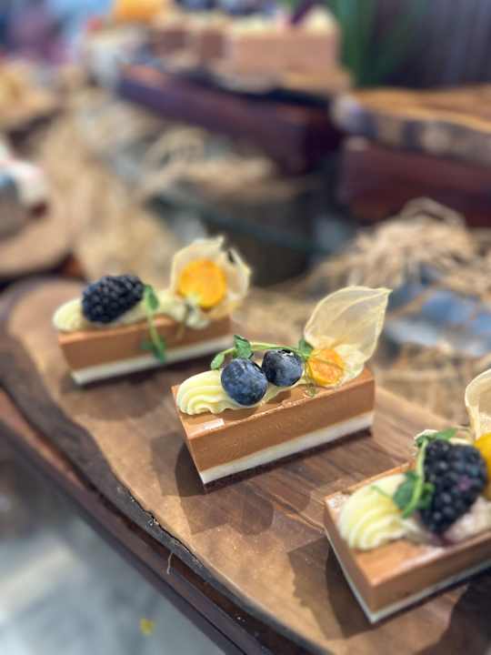 Gastro Rubi Platinum Sign