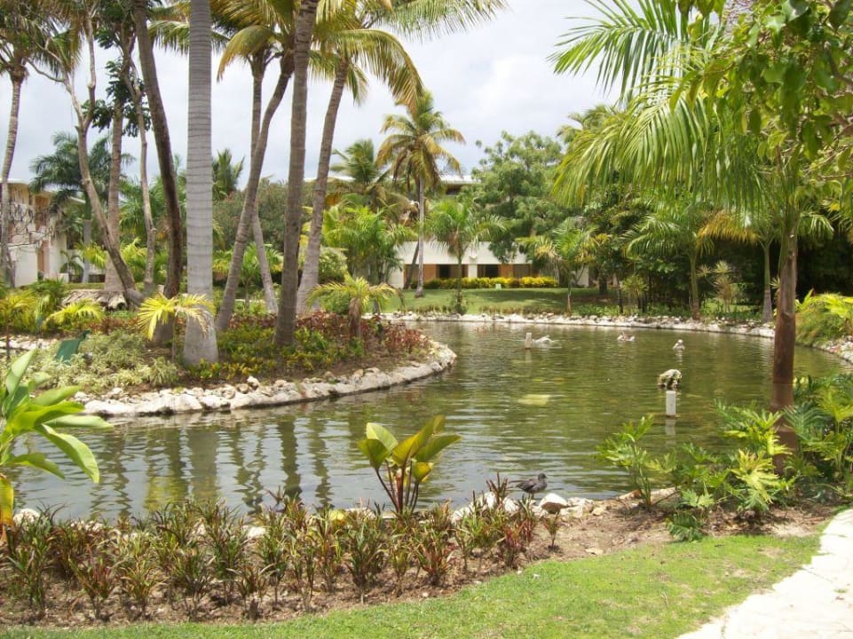 Teich Catalonia Punta Cana - All Inclusive