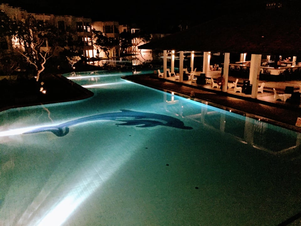 Pool Club Hotel Dolphin
