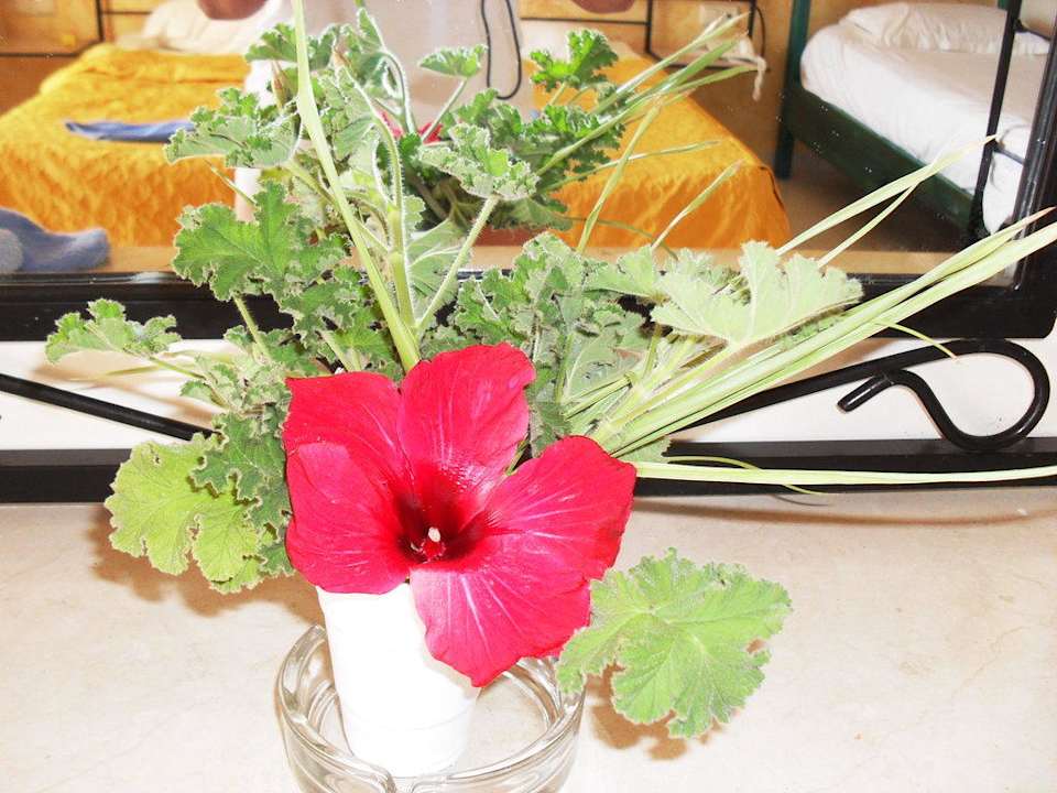 Garniture de la chambre Houda Golf & Beach Club