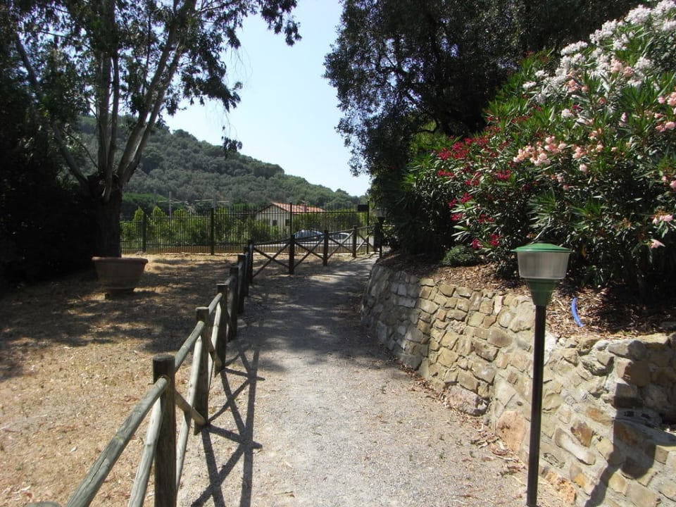 Der Weg zum Pool, herrliche Pflanzen Hotel Fontermosa