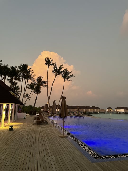 Pool TUI BLUE Olhuveli Romance