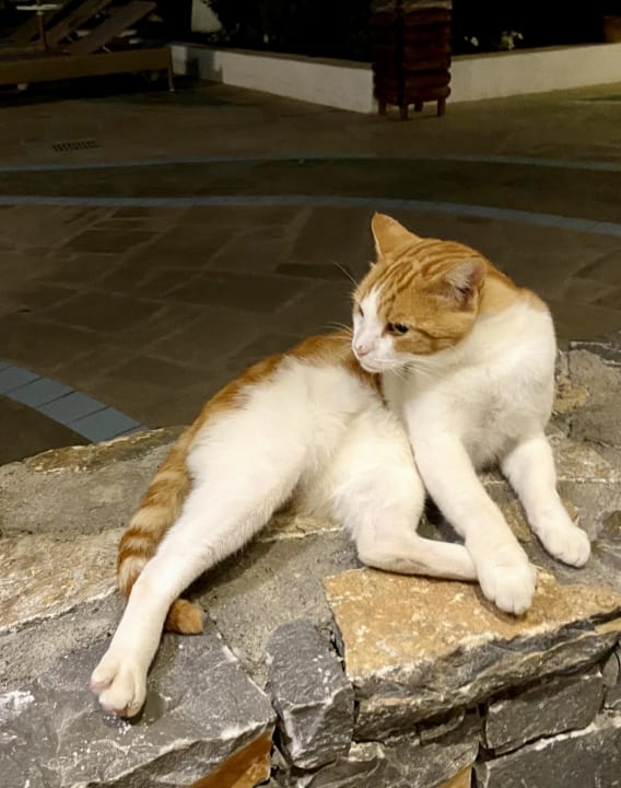 Sonstiges Creta Maris Resort