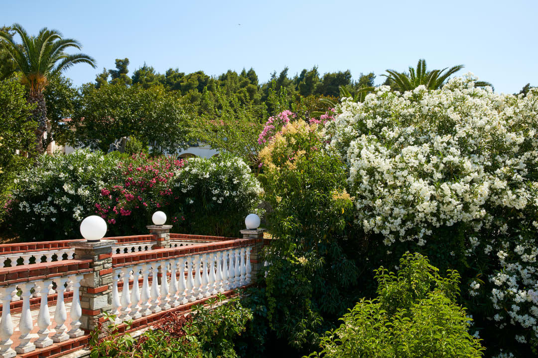 Gartenanlage Hotel Macedonian Sun