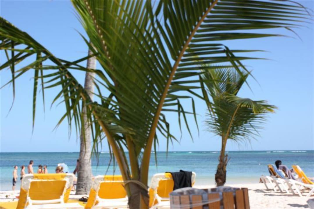 Ein Traum Catalonia Punta Cana - All Inclusive