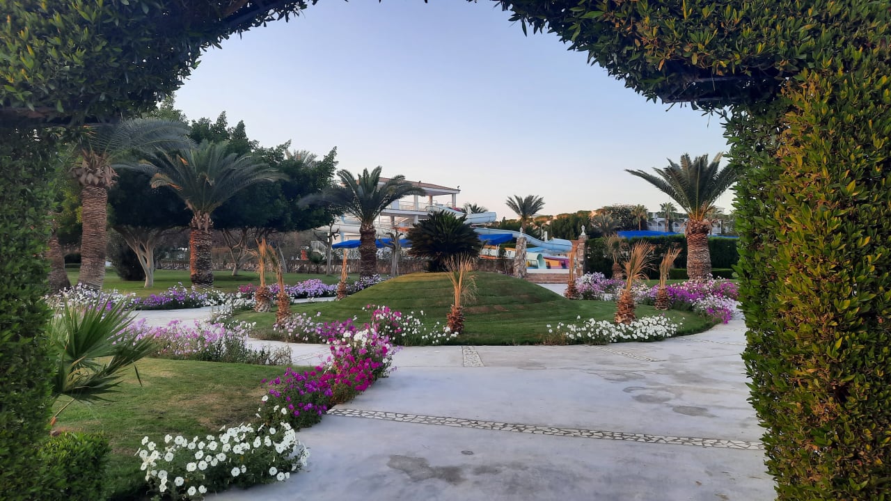 Gartenanlage Desert Rose