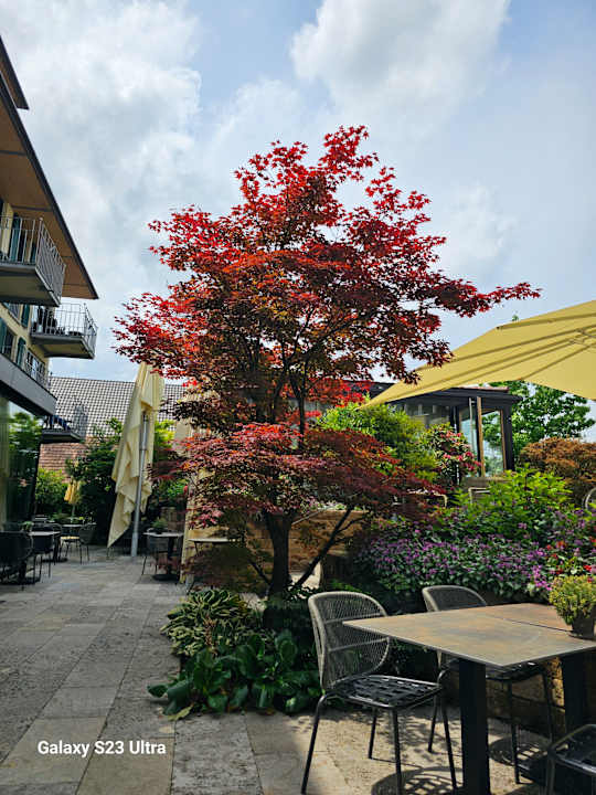 Gartenanlage Hotel Hirschen Horn | Refugium am See