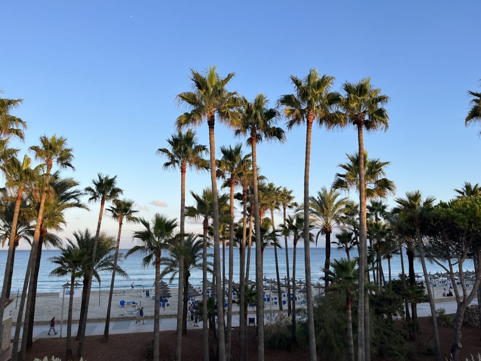 Strand Hipotels Mediterraneo Club