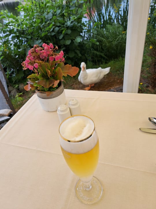 Gastro Landhaus Zu den Rothen Forellen