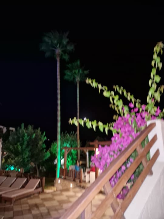Gartenanlage Gaia Garden Hotel