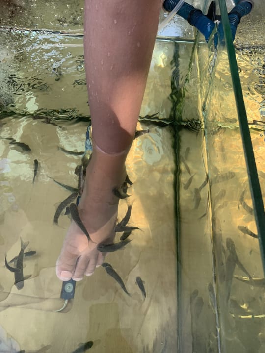 Sport & Freizeit Belek Beach Resort Hotel