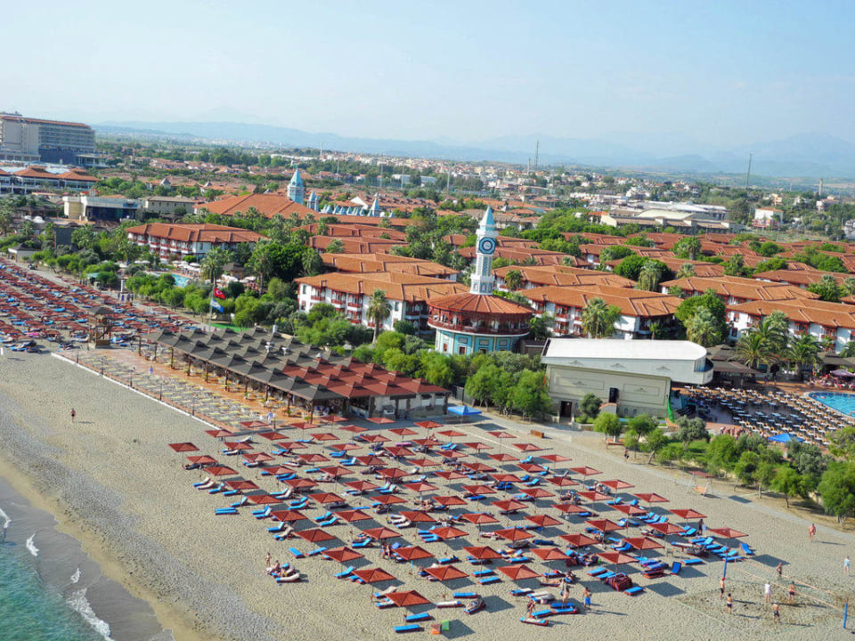 Vogel Perspektive Ali Bey Club