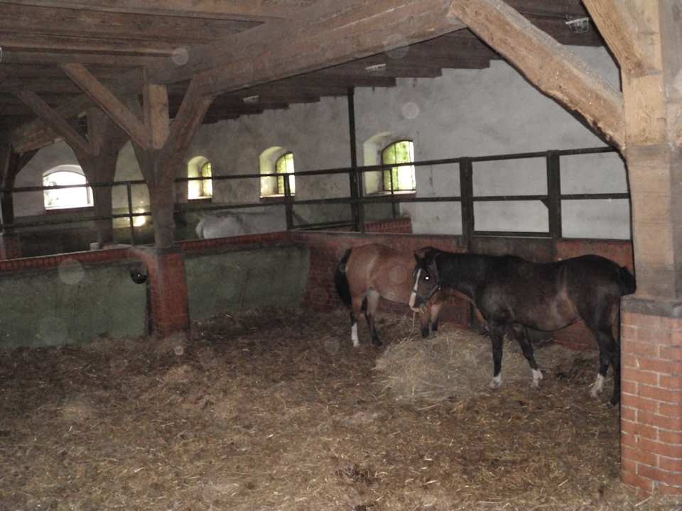 Ställe Pałac i Folwark Galiny