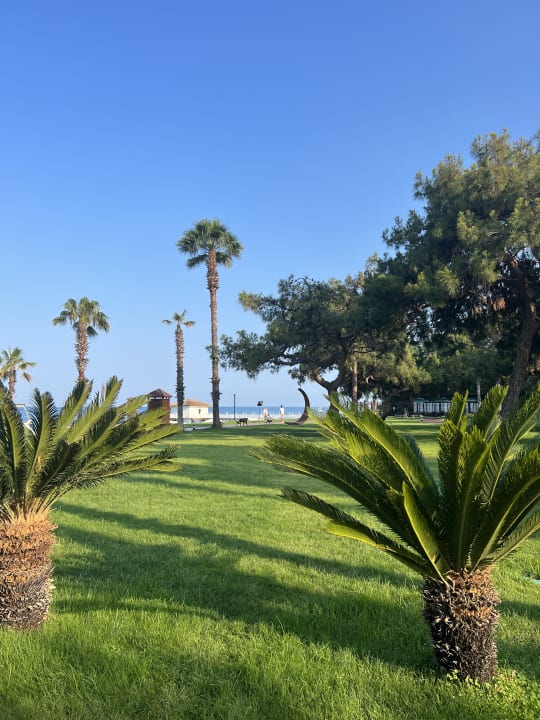 Gartenanlage TUI MAGIC LIFE Beldibi +16