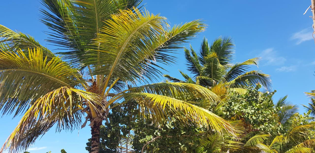 Ausblick Bahia Principe Grand El Portillo