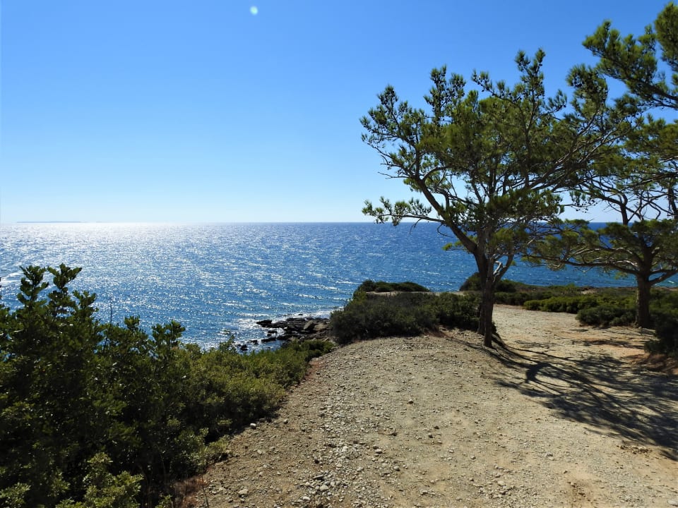 Ausblick Hotel South Coast