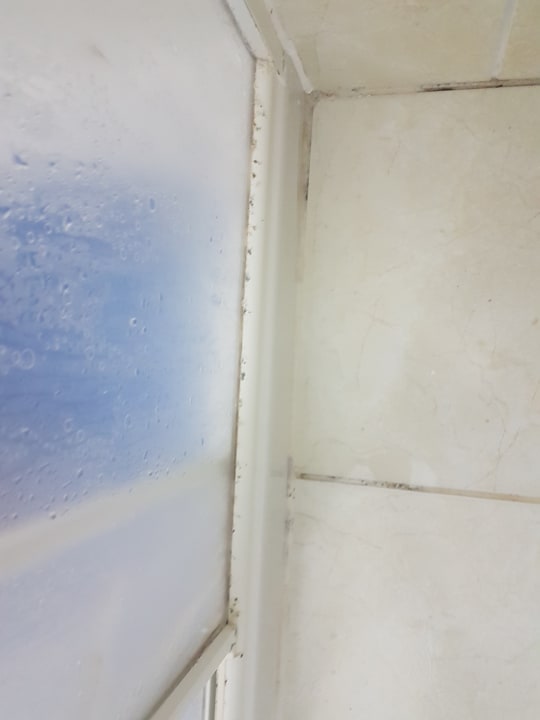 Zimmer Apartments Bellevue Plava Laguna