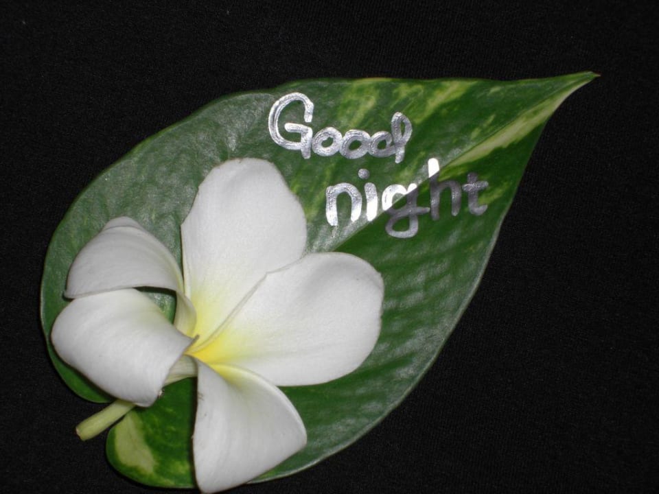Gute Nacht Hotel Grand Mirage Resort & Thalasso Bali