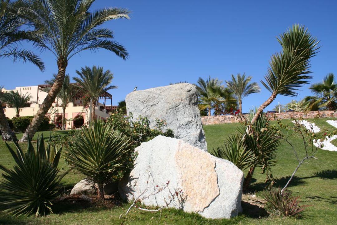 Rock of Coraya Beach Steigenberger Coraya Beach - Adults only