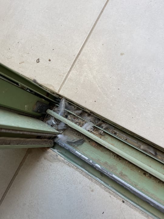 Zimmer Shams Alam Beach Resort