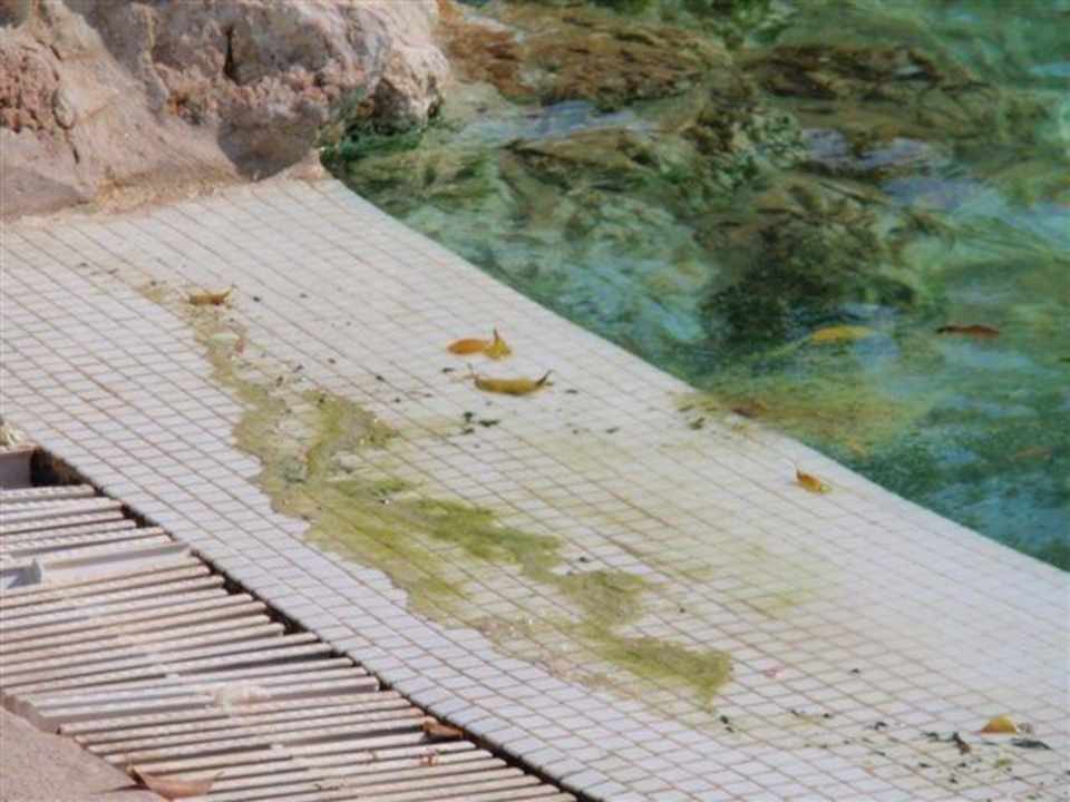 Sauberkeit und Hygiene Grand Makadi