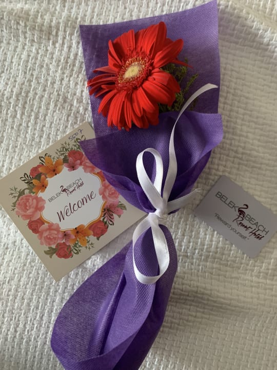 Sonstiges Belek Beach Resort Hotel