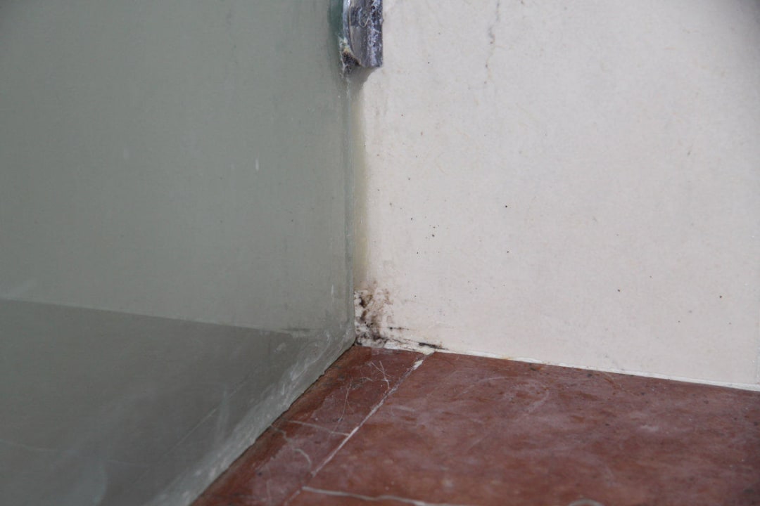 Wand in der Dusche Grand Palladium Select Bávaro Resort & Spa