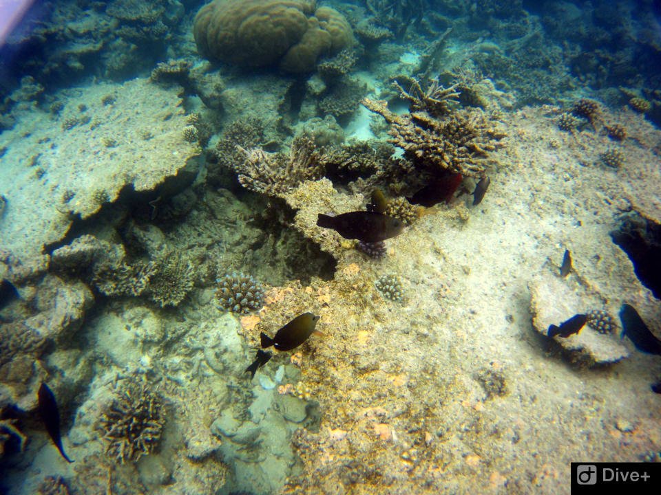 Sport & Freizeit NH Collection Maldives Havodda Resort