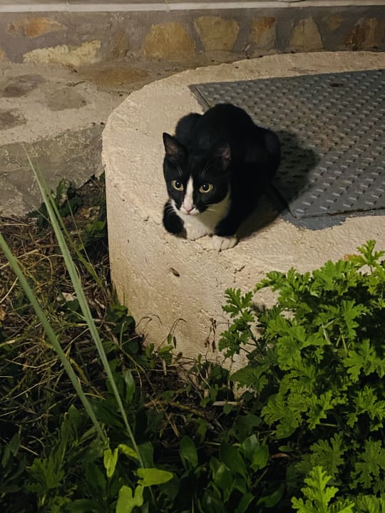 Sonstiges Hotel Kalithea Horizon Royal