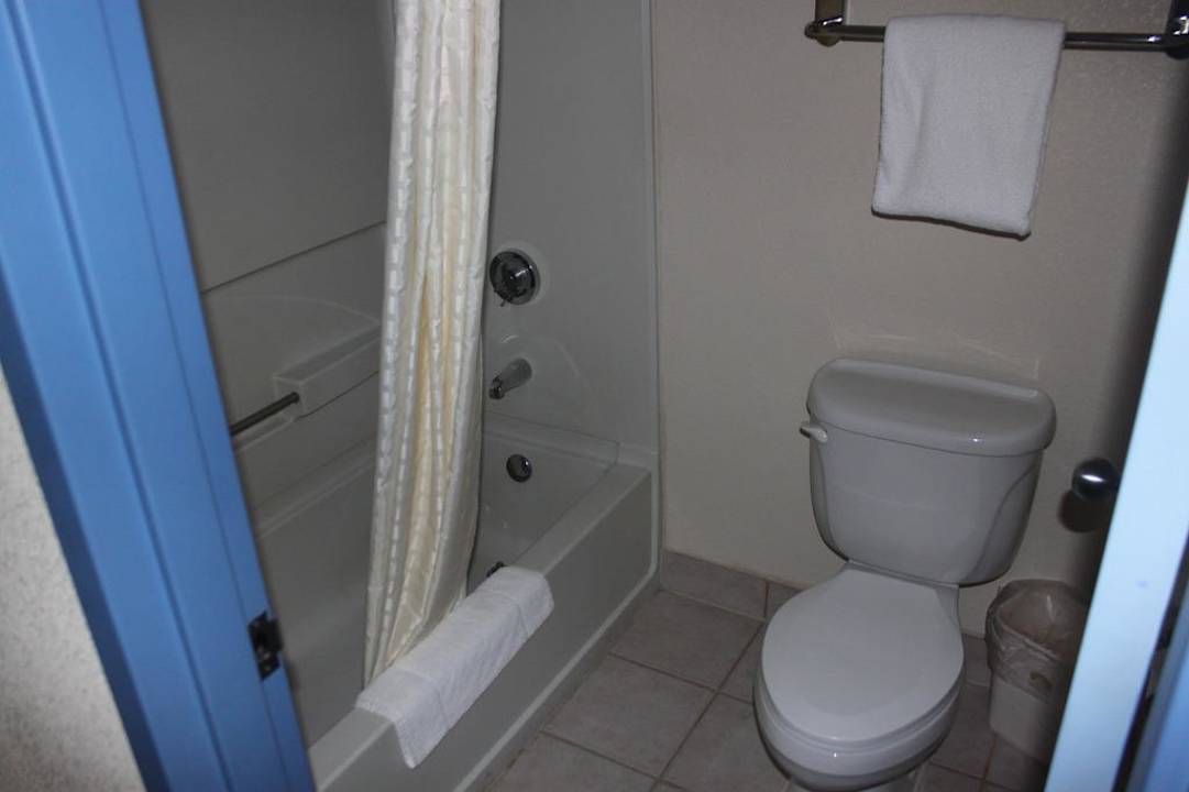 WC und Wanne Best Western Plus Hotel Reading Inn & Suites
