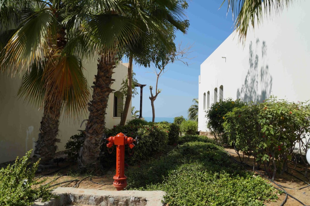 Hotel The Cove Rotana The Cove Rotana Resort