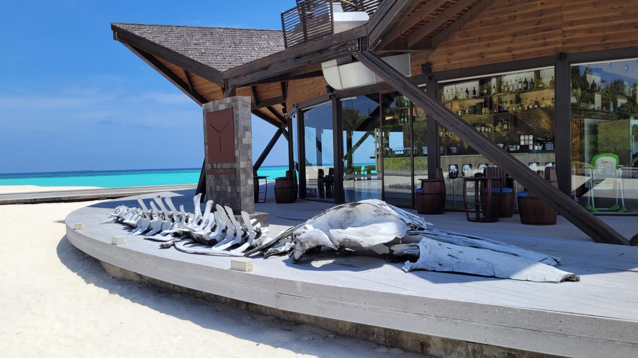 Außenansicht Kuredhivaru Resort and Spa, Maldives
