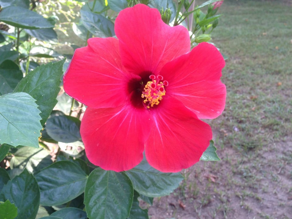 Trendy Aspendos Beach Hotel Trendy Aspendos Beach Hotel