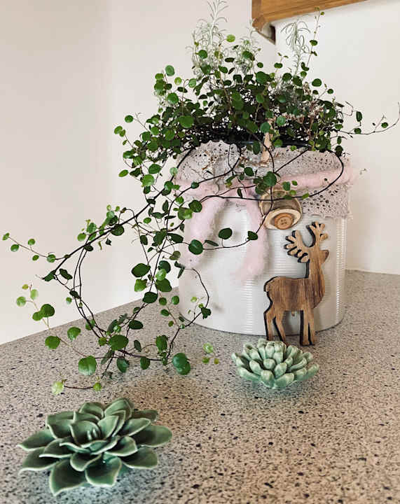 Zimmer Ferienhaus Silke