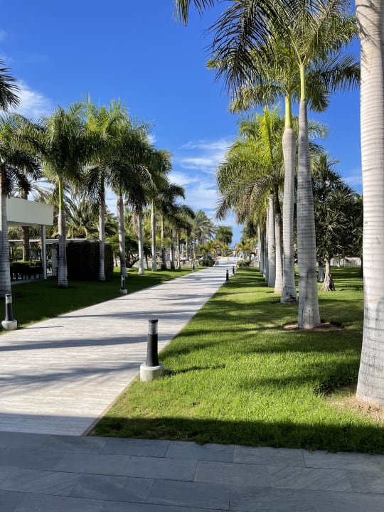 Gartenanlage Hotel Riu Palace Meloneras