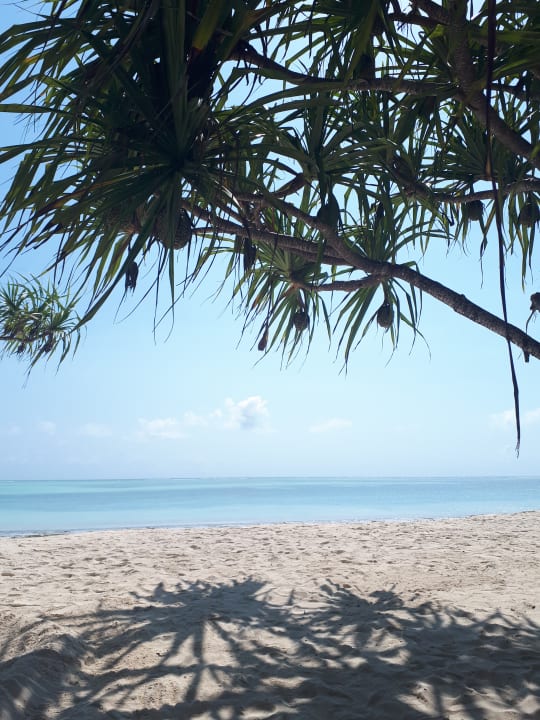 Strand Neptune Pwani Beach Resort & Spa