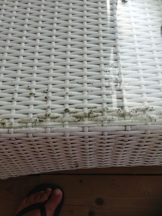 Schimmel Wyndham Garden Lara