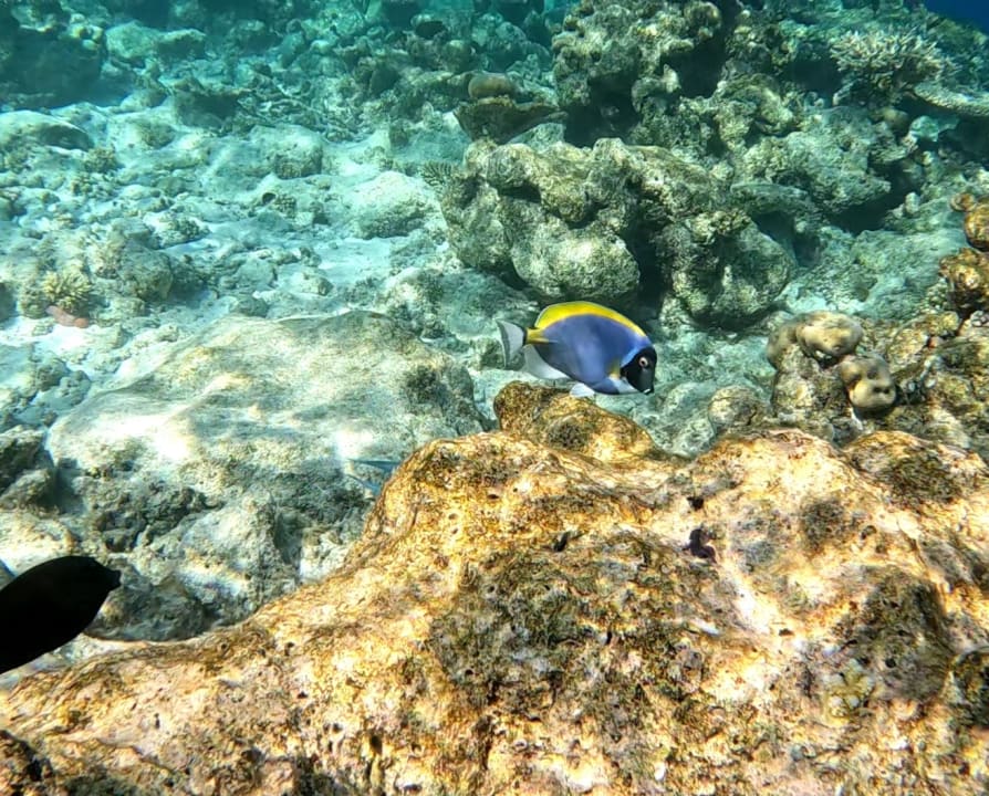 Sport & Freizeit NH Collection Maldives Havodda Resort