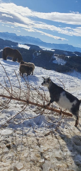 Sport & Freizeit Familien Resort Petschnighof - Familotel Kärnten