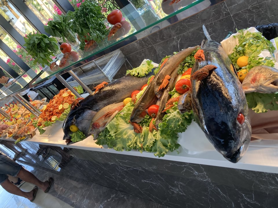 Gastro Monachus Family Resort Sorgun