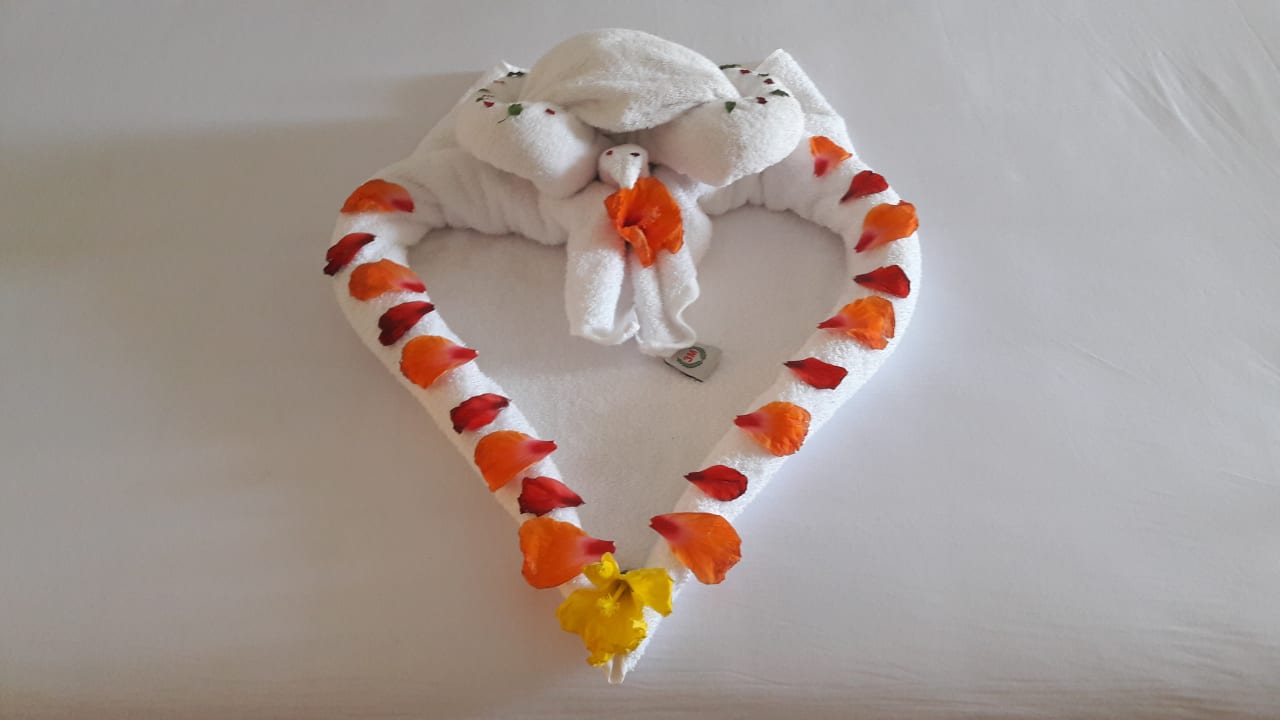 Zimmer Stella Garden Resort & Spa, Makadi Bay